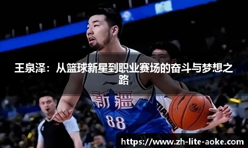 okooo澳客网官网